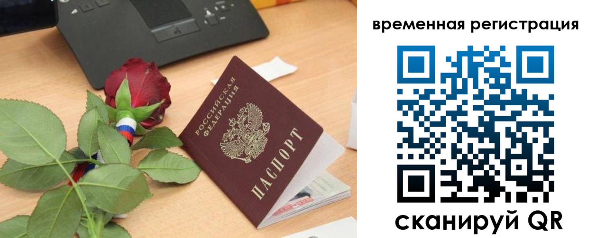 миграционный учет в Мончегорске